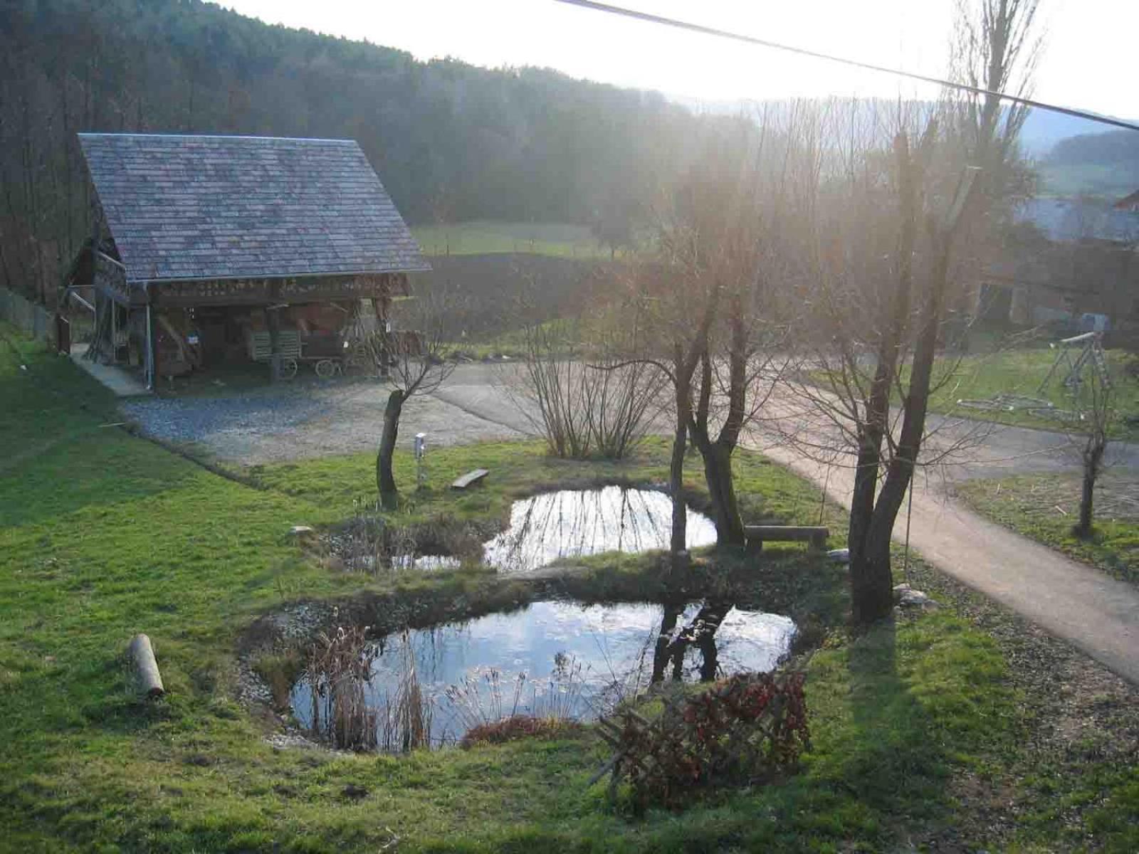 Apartamento Turisticna Kmetija Cebelji Gradic Rogašovci Exterior foto