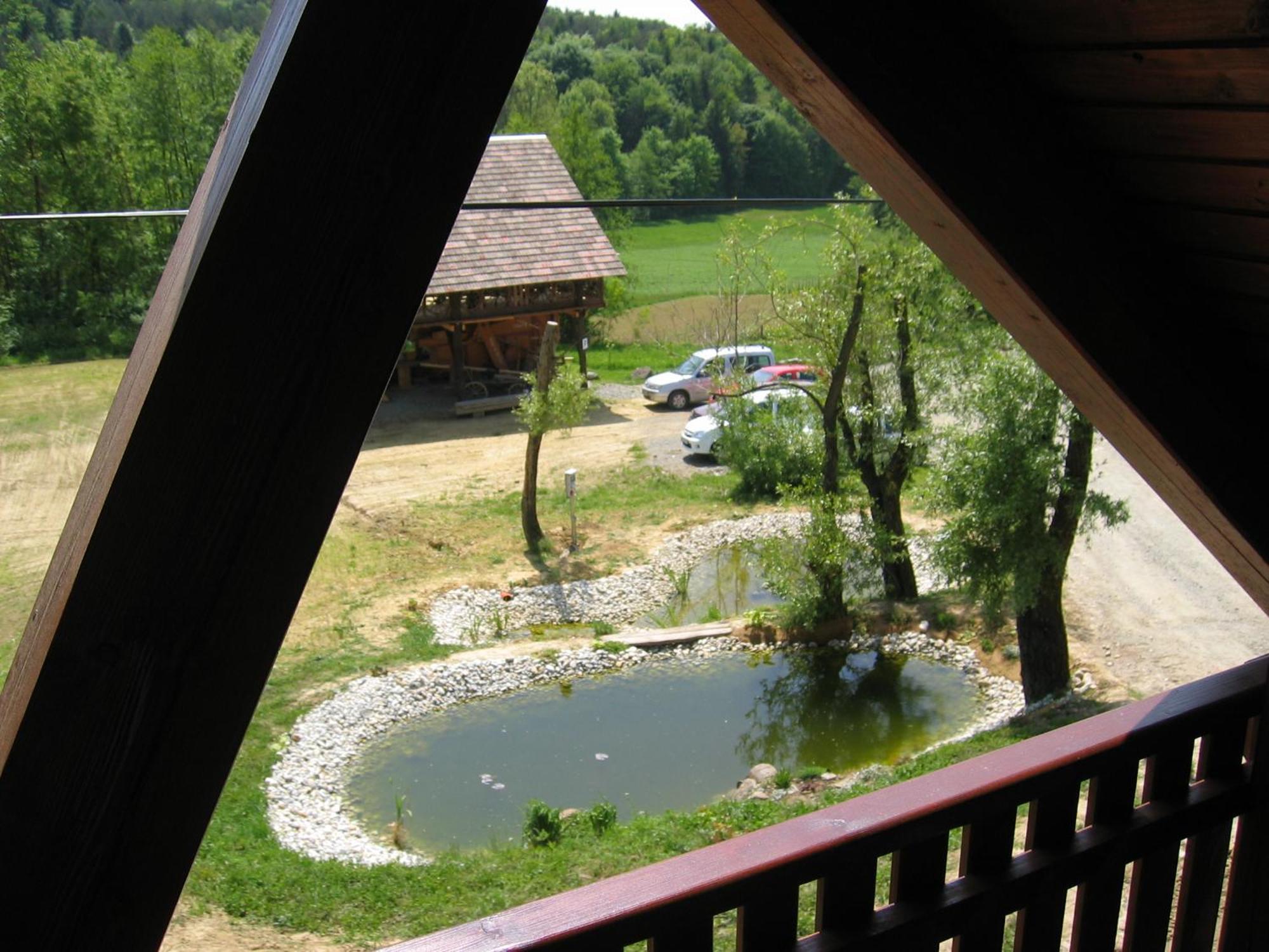 Apartamento Turisticna Kmetija Cebelji Gradic Rogašovci Exterior foto