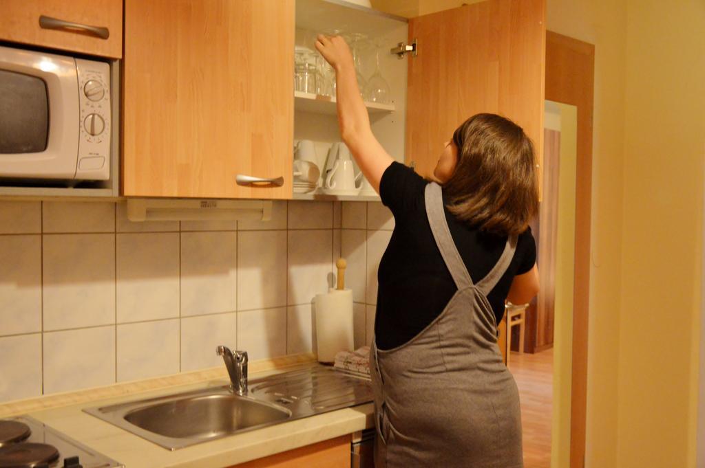 Apartamento Turisticna Kmetija Cebelji Gradic Rogašovci Exterior foto